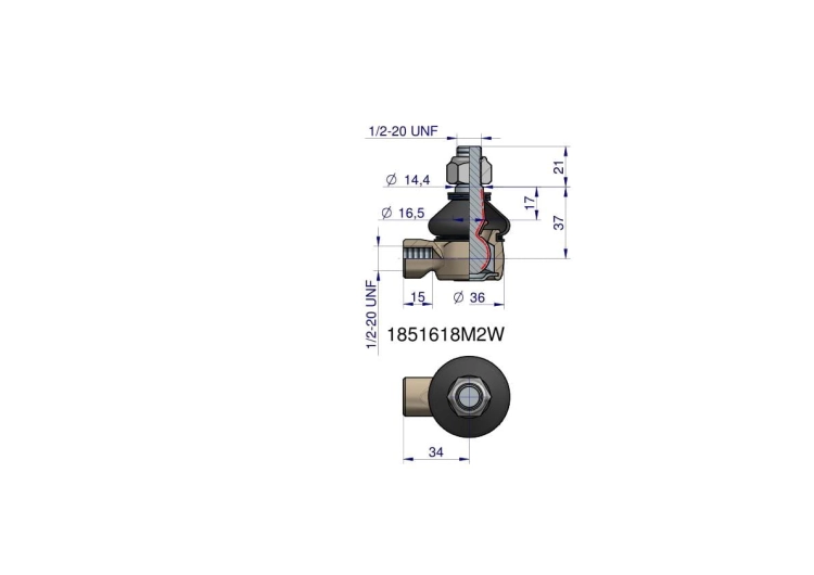 1851618M2W.png