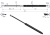3103957M1P.png