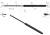 CA287598P.png