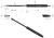 CA287636P.png