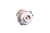 3637289M91P.png