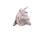 4222107M91P.png