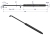 3221531R0P.png