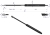 1531489C0P.png