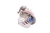 25061542P.png