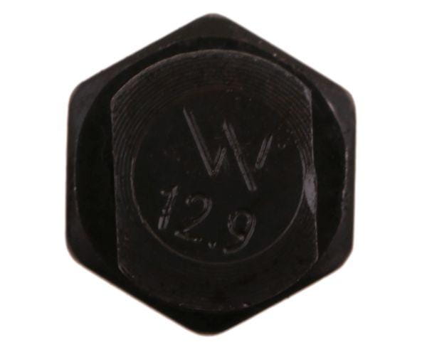 W-240121439002.jpg