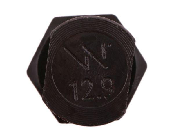 W-255121240002.jpg