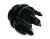 WR213150.png