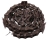 W-5413110560.jpg