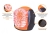 T-NB-AKCN001_2.png
