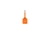 T-NB-ODI-002_1.png