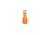 T-NB-ODI-006_1.png