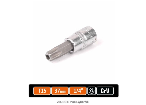 T-W-KNT704_0.png