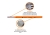 T-W-PWP005_1.png