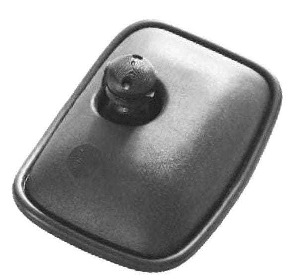 LR0250.jpg