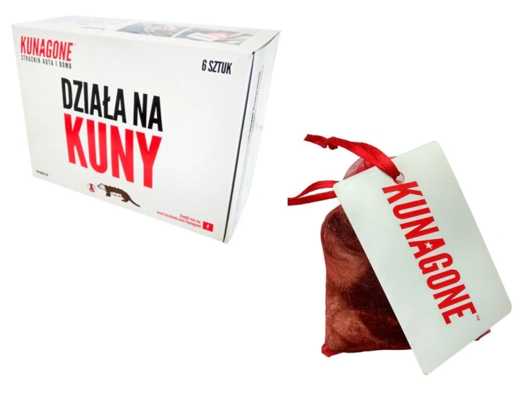 KUN6_0.png