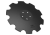 W-74607435_0.png