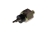 50426370-O.jpg