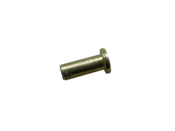 80009094.jpg
