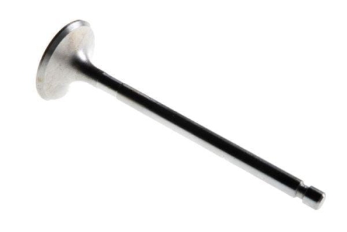 50505051.jpg
