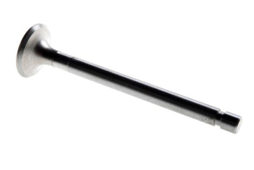50505061.jpg