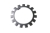 80121164.jpg