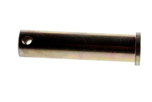 83449050.jpg
