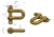 50021210U.png