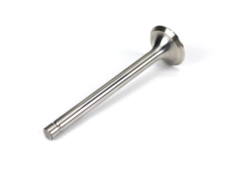 69010554U_1.png