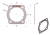55453009U_0.png