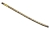 WAZ8SN2W25002.jpg