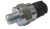 0011498951-CL-Photoroom.jpg
