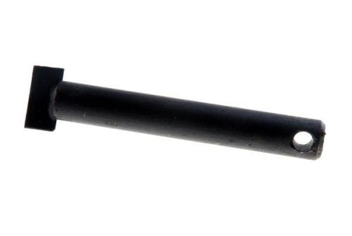 46551520.jpg