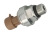 RE217077-Photoroom.jpg