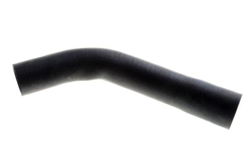 50017032.jpg