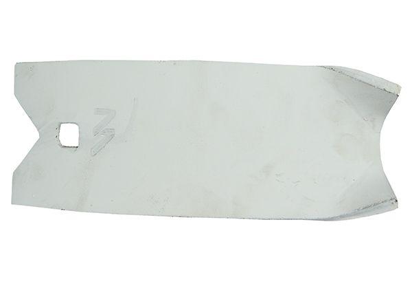 W-1738050070003.jpg