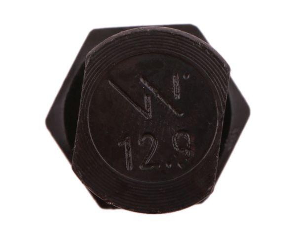 W-255121240002.jpg