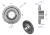 50419680U_0.png