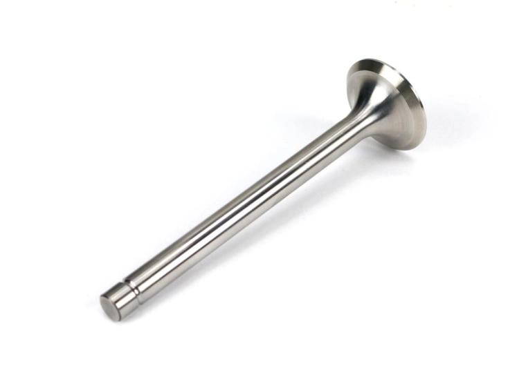 69010554U_1.png