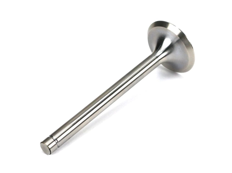 69010555U_1.png