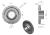 50419680U_0.png
