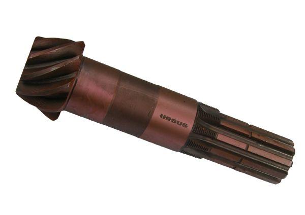42251050U003.jpg
