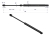 CA516716P.png
