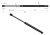 CA592285P.png